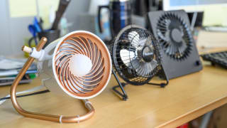 Several small desk fans, like the Vornado Pivot Personal Air Circulator, are lined up in a row on a wooden desktop.