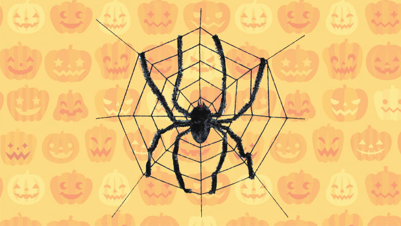 Walmart spider