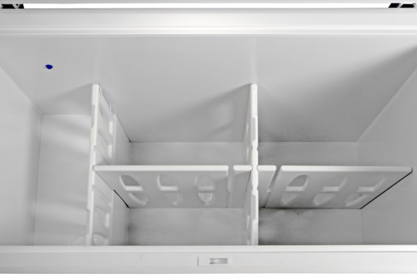 Under the Kenmore 16542's storage baskets, plastic dividers create zones for easy food organization.