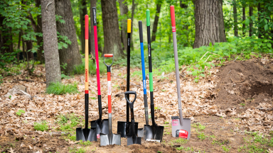 Several spade shovels stuck together in the ground