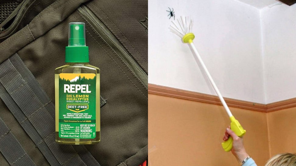 products to kill spiders and flies in your home - Reviewed