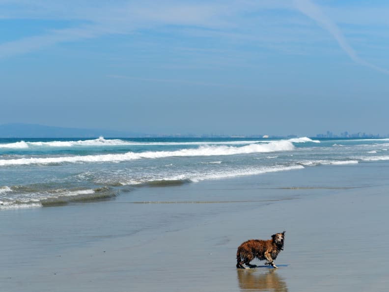 EXIF: 42.5mm, ISO 200, 1/2000, f/5.6