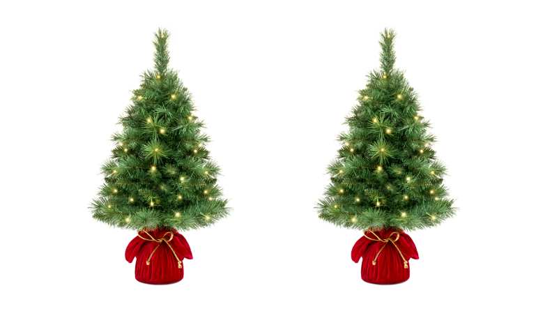 Two mini Christmas trees with lights on a white background.