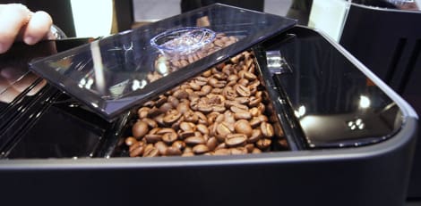 Bean Hopper Photo