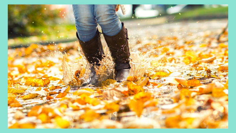 wet leaves