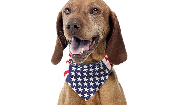 bandana