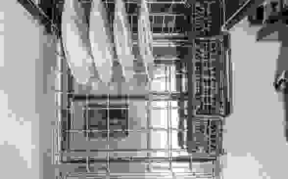 The lower rack of a dishwasher is filled with four white plates