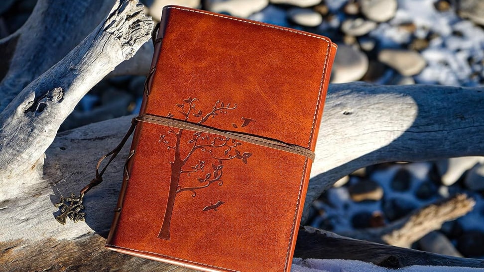 A travel journal being used on a nature walk.