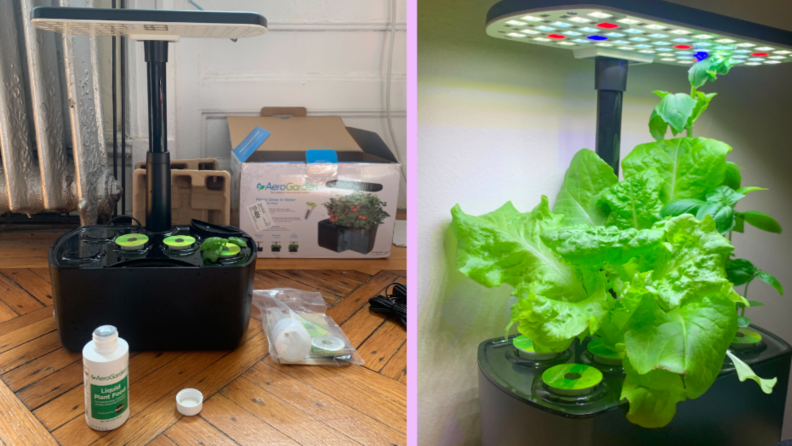 The Aerogarden hydroponic garden sits on a wood floor next to its box and liquid plant food, in the photo next to it, the garden is full of leaves.