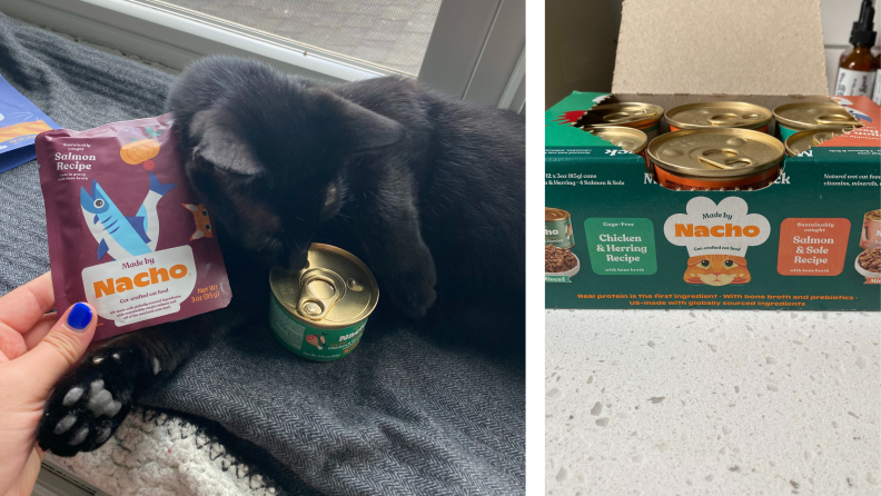 black cat with made by nacho cat food and case of food
