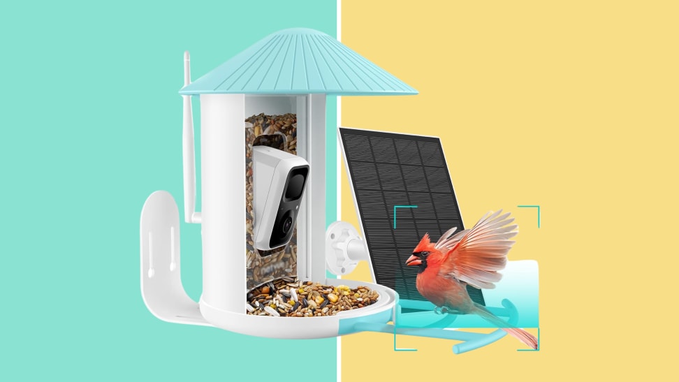 A white and teal bird feeder, with a bird landing on the perch.