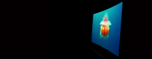 Curved OLED TV