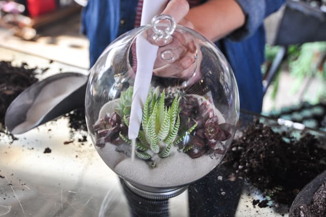 Succulent-Terrarium-8.jpg