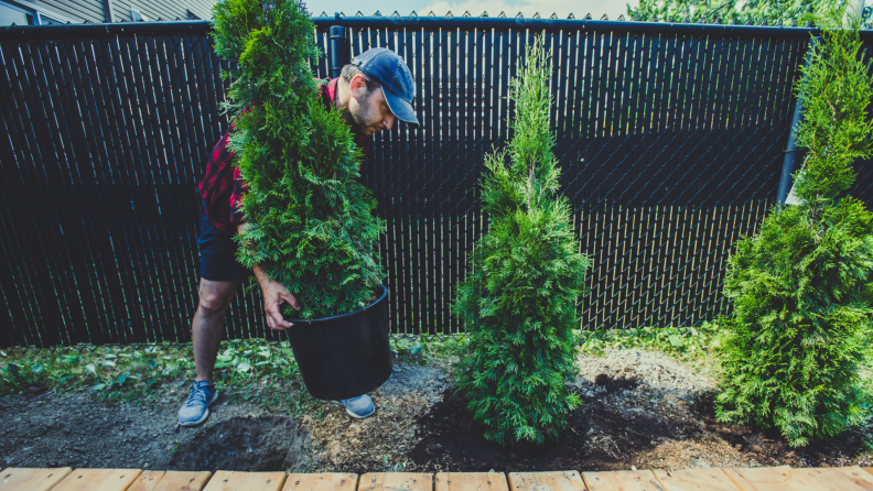 Person removing shrubs from area next to wooden deck and fence.