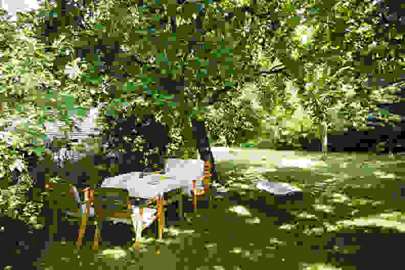 Shady yard with table and hammock