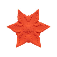 Product image of Starsi