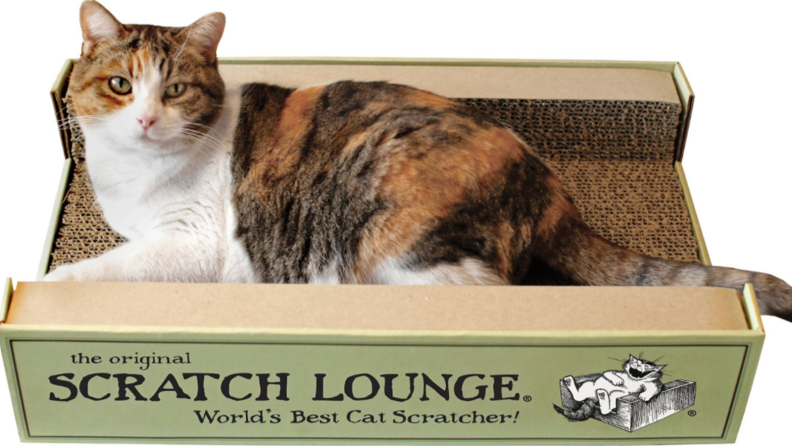 A cat lies on the cat lounge
