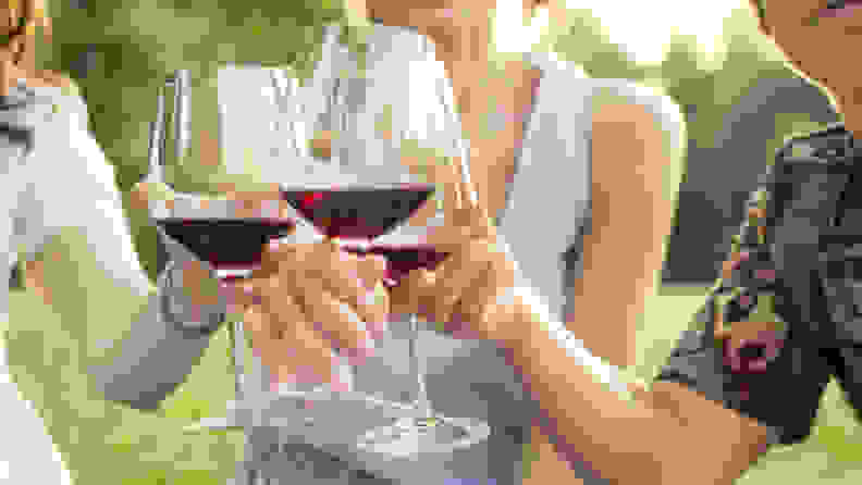 Women toasting with red wine in park