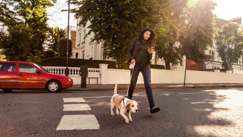 a woman walking her dog across a street in the morning