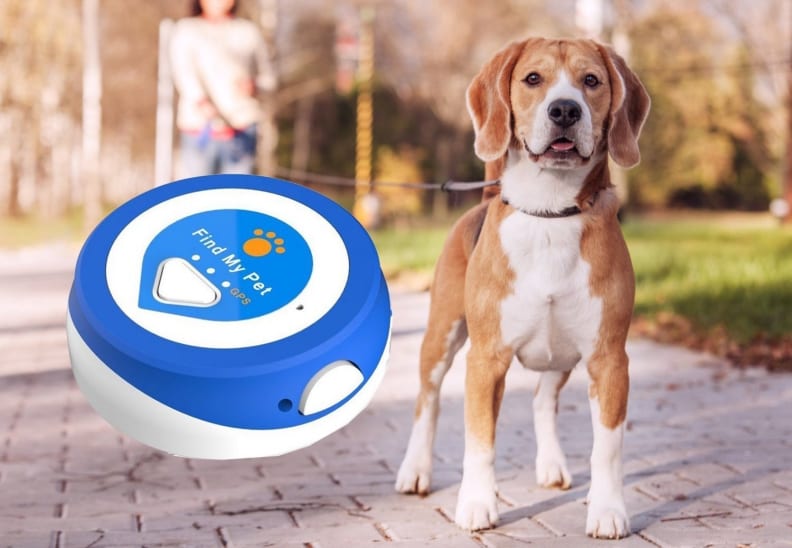 Find My Pet Nano GPS Dog Tracker