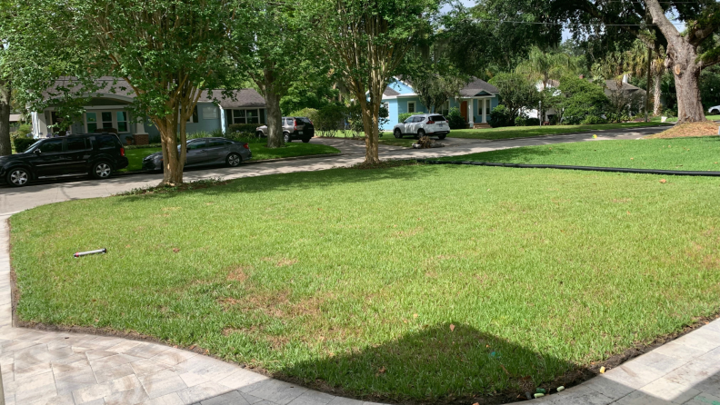 A front lawn looks dry and brown before organic lawn care treatments.