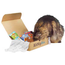 Product image of Kitnip Box Subscription