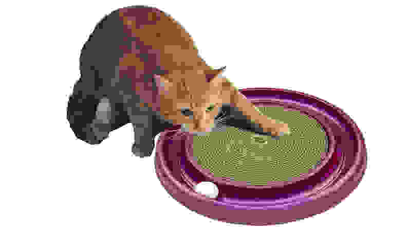 Bergan Turbo Scratcher Cat Toy