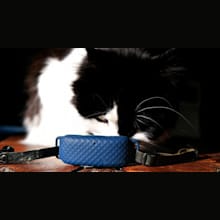 Product image of Tractive Cat GPS
