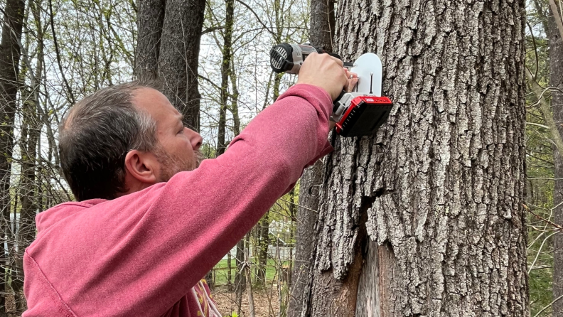A man in a red sweatshirt screws a metal plate to a tree