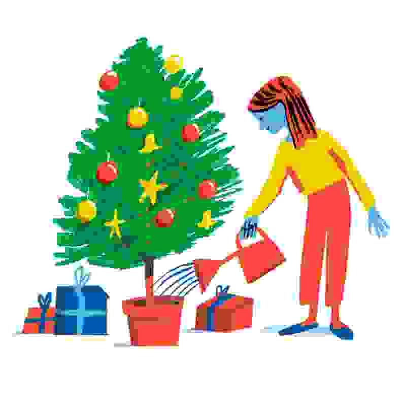 Cartoon graphic of someone watering potted Christmas tree surrounded by presents.