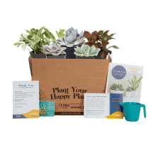 Product image of Costa Farms Live Indoor Plants Monthly Subscription Box