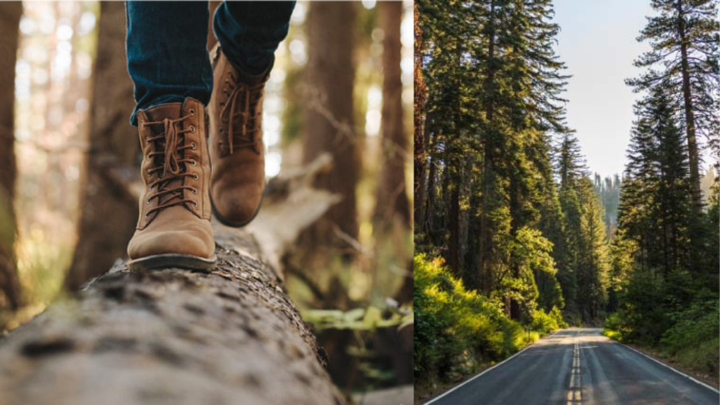 hiking boots and forest scene