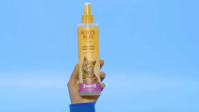 A hand holding Burt's Bees foaming cleanser