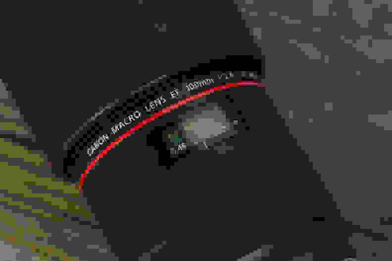 The trademark red ring marks the 100mm f/2.8L Macro IS USM as one of Canon's pro-grade lenses.