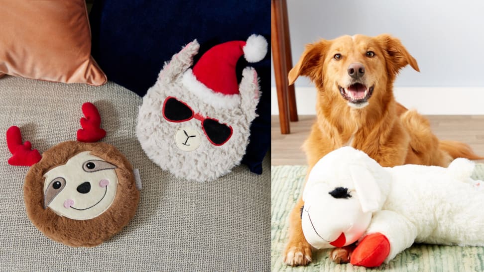 Pet plushes next to a dog with lamb chop