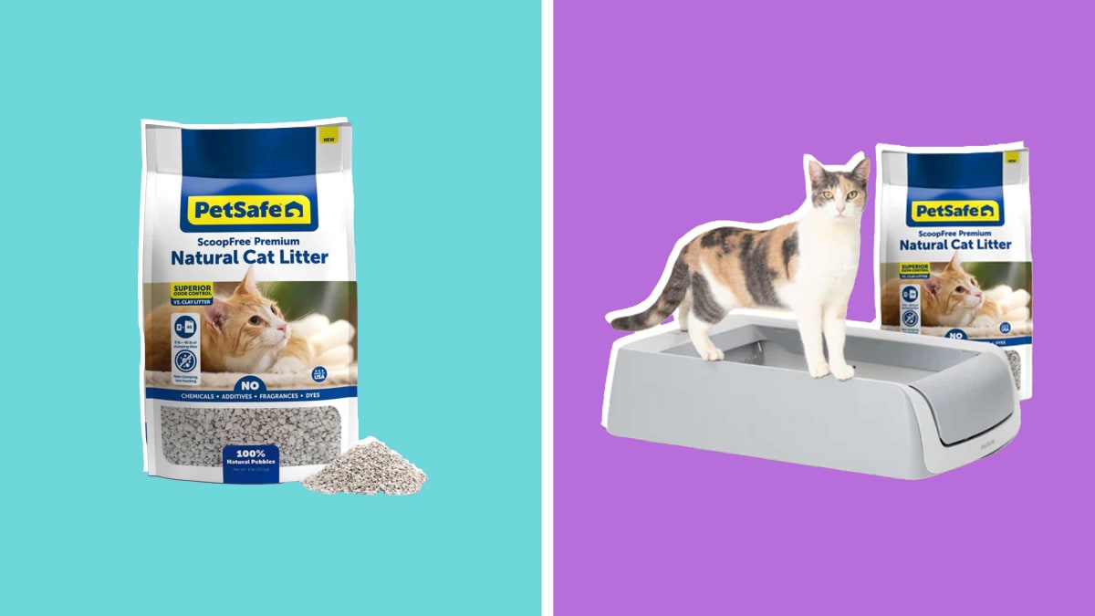 Coshida cat litter clearance