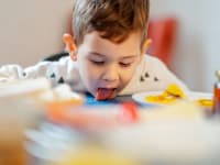 Cute little 2.5 year old boy licking some spilled milk of dining table