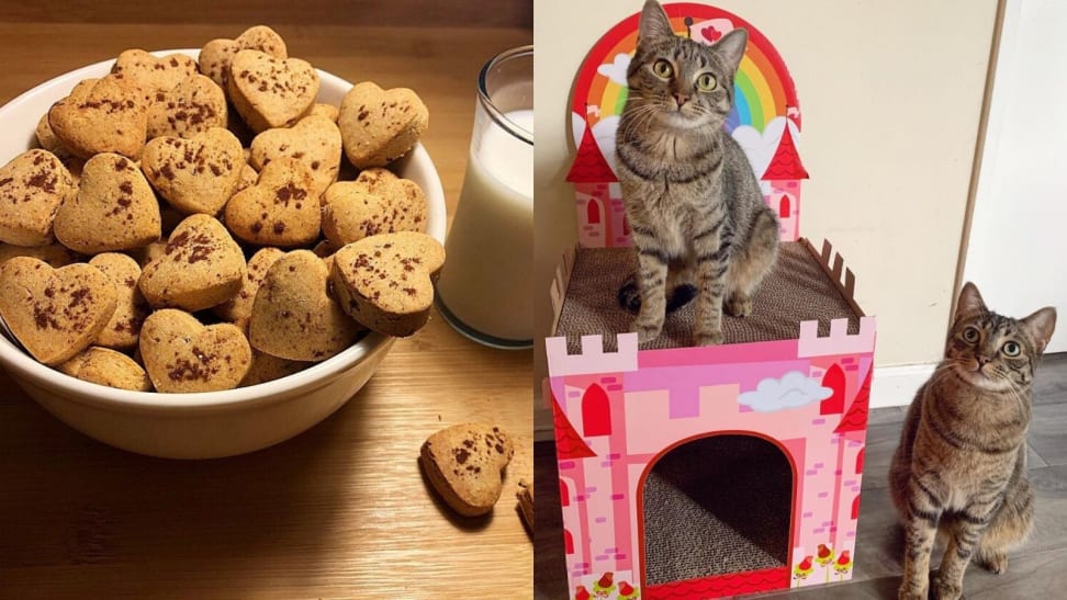 10 incredible Valentine's Day gifts your pets will love