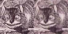 cats.jpg