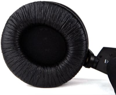 Speaker Image
